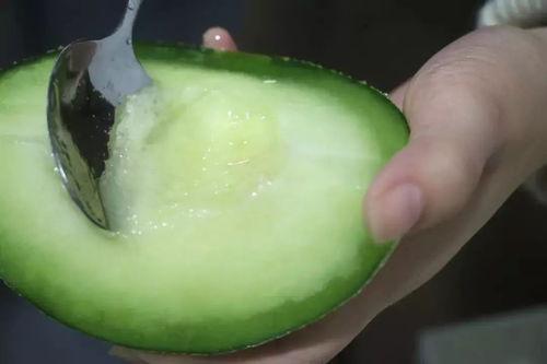 吃玫珑蜜瓜视频,尽享玫珑蜜瓜的甘甜诱惑