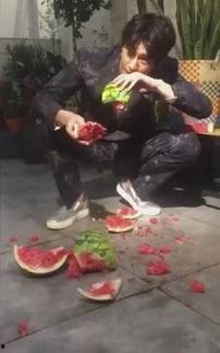 魏县吃瓜新事件视频最新,揭秘背后惊人真相