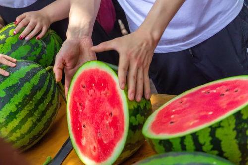 二兄弟争西瓜吃瓜视频,上演欢乐抢瓜大战