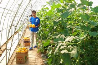 虞山防火队员视频吃瓜,消防生活别样精彩