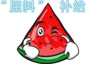 呱呱吃瓜现场视频大全,趣味横生的瞬间集锦