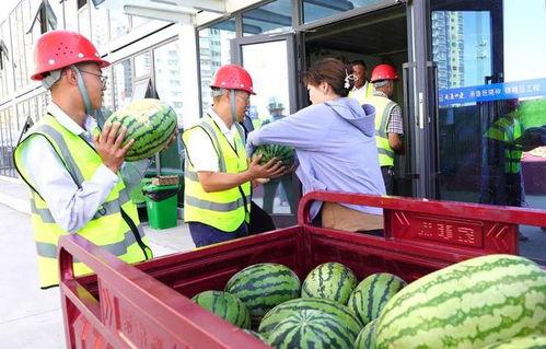 新密大瓜吃瓜群众视频,吃瓜群众视频背后的真相