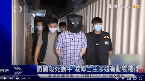 香港金融圈吃瓜事件视频,揭秘吃瓜事件背后的真相与内幕