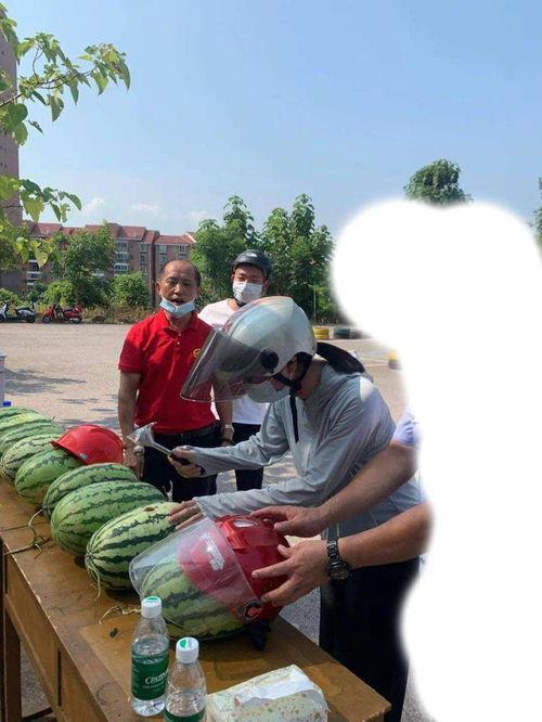 河北唐山吃瓜事件视频,一场网络热议的街头冲突真相揭秘