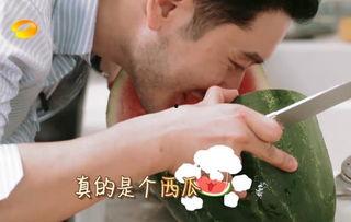 夫妻吃瓜吐籽视频大全